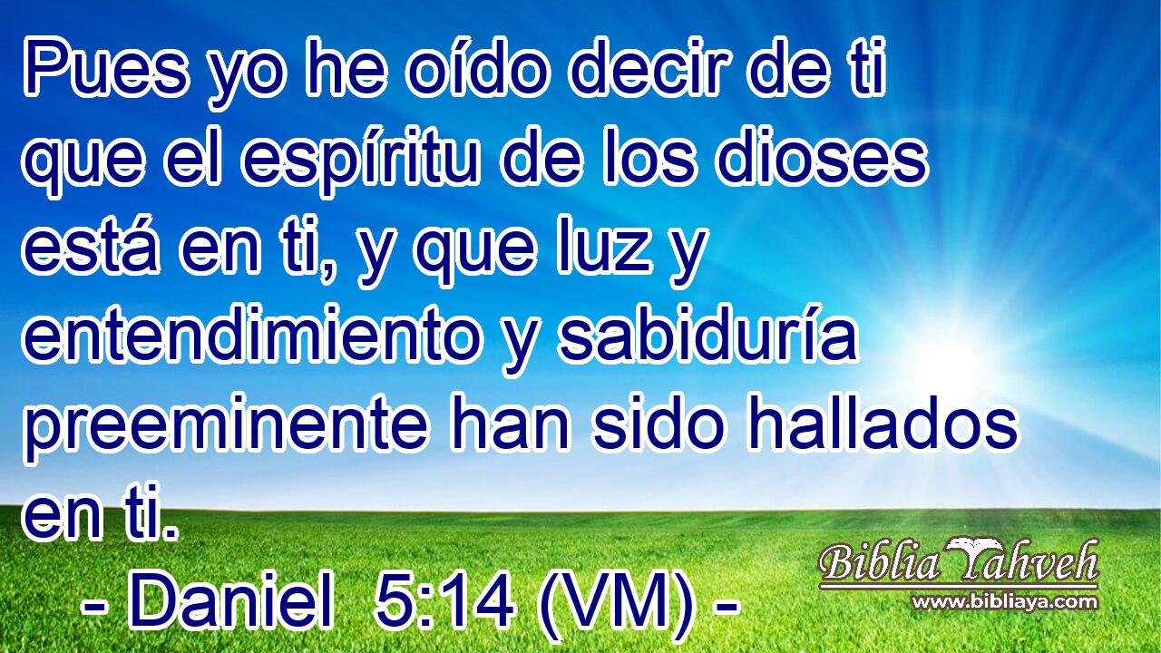  Pues yo he oído decir de ti que el espíritu de los dioses está en ti, y que luz y entendimiento y sabiduría preeminente han sido hallados en ti. 