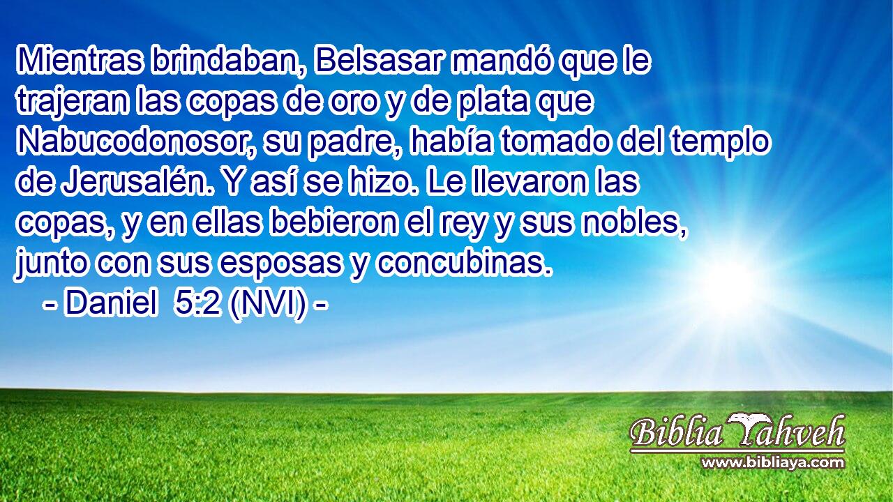 Mientras brindaban, Belsasar mandó que le trajeran las copas de oro y de plata que Nabucodonosor, su padre, había tomado del templo de Jerusalén. Y así se hizo. Le llevaron las copas, y en ellas bebieron el rey y sus nobles, junto con sus esposas y concubinas. 