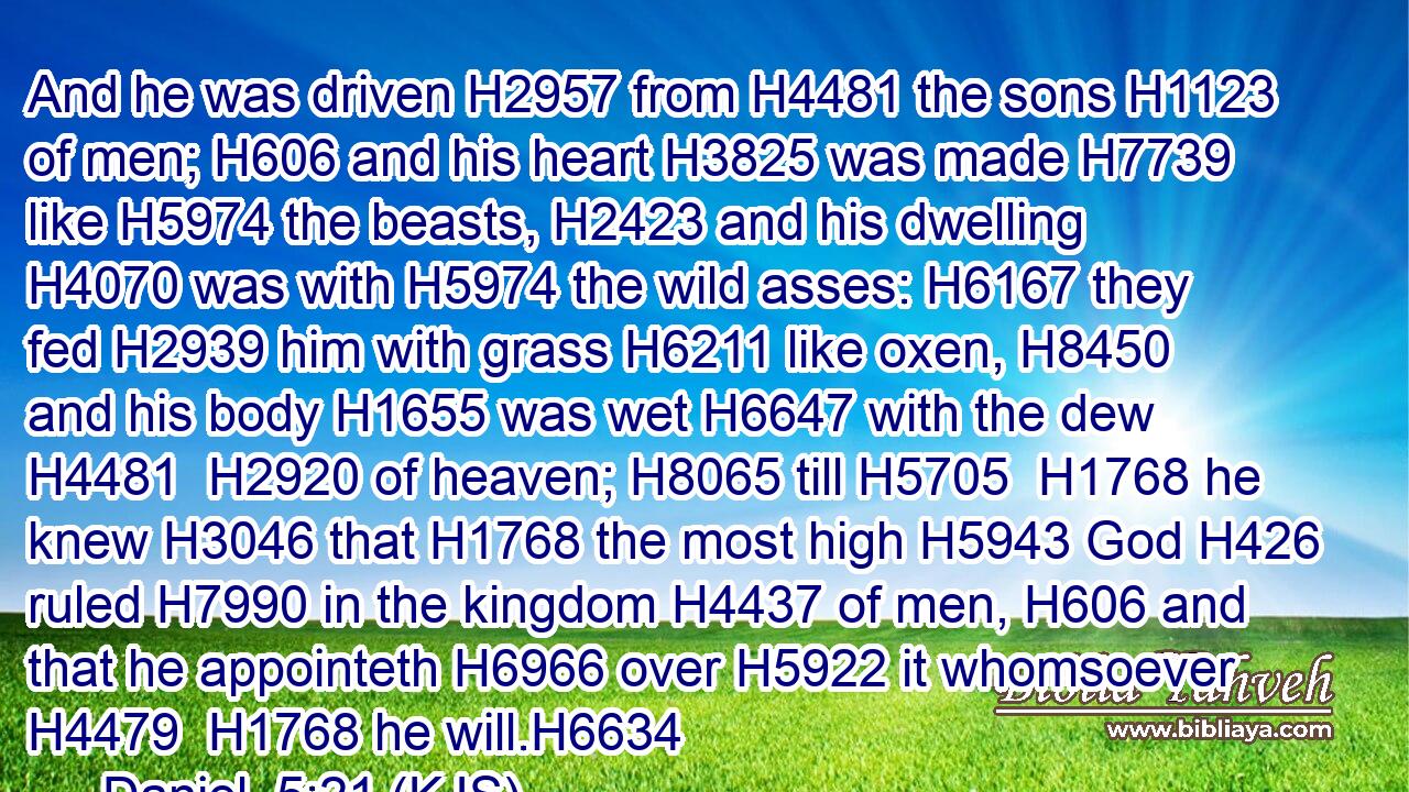 And he was driven H2957 from H4481 the sons H1123 of men; H606 and his heart H3825 was made H7739 like H5974 the beasts, H2423 and his dwelling H4070 was with H5974 the wild asses: H6167 they fed H2939 him with grass H6211 like oxen, H8450 and his body H1655 was wet H6647 with the dew H4481  H2920 of heaven; H8065 till H5705  H1768 he knew H3046 that H1768 the most high H5943 God H426 ruled H7990 in the kingdom H4437 of men, H606 and that he appointeth H6966 over H5922 it whomsoever H4479  H1768 he will.H6634