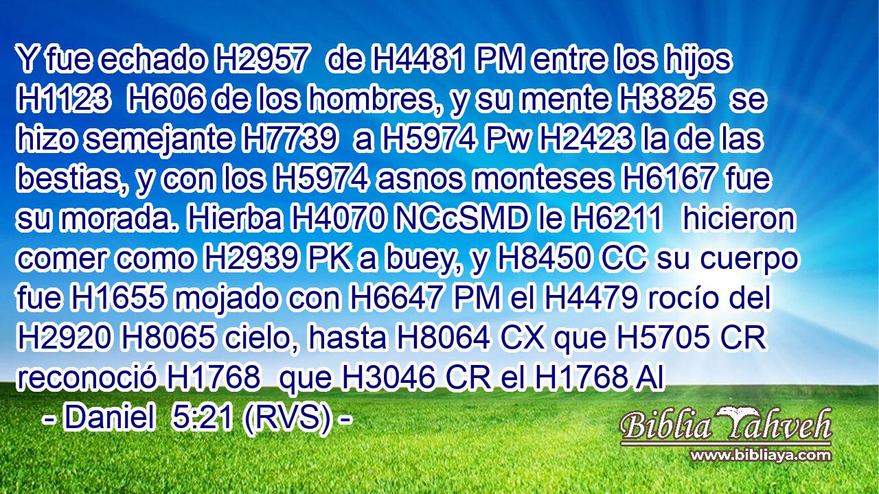 Y fue echado H2957  de H4481 PM entre los hijos H1123  H606 de los hombres, y su mente H3825  se hizo semejante H7739  a H5974 Pw H2423 la de las bestias, y con los H5974 asnos monteses H6167 fue su morada. Hierba H4070 NCcSMD le H6211  hicieron comer como H2939 PK a buey, y H8450 CC su cuerpo fue H1655 mojado con H6647 PM el H4479 rocío del H2920 H8065 cielo, hasta H8064 CX que H5705 CR reconoció H1768  que H3046 CR el H1768 Al