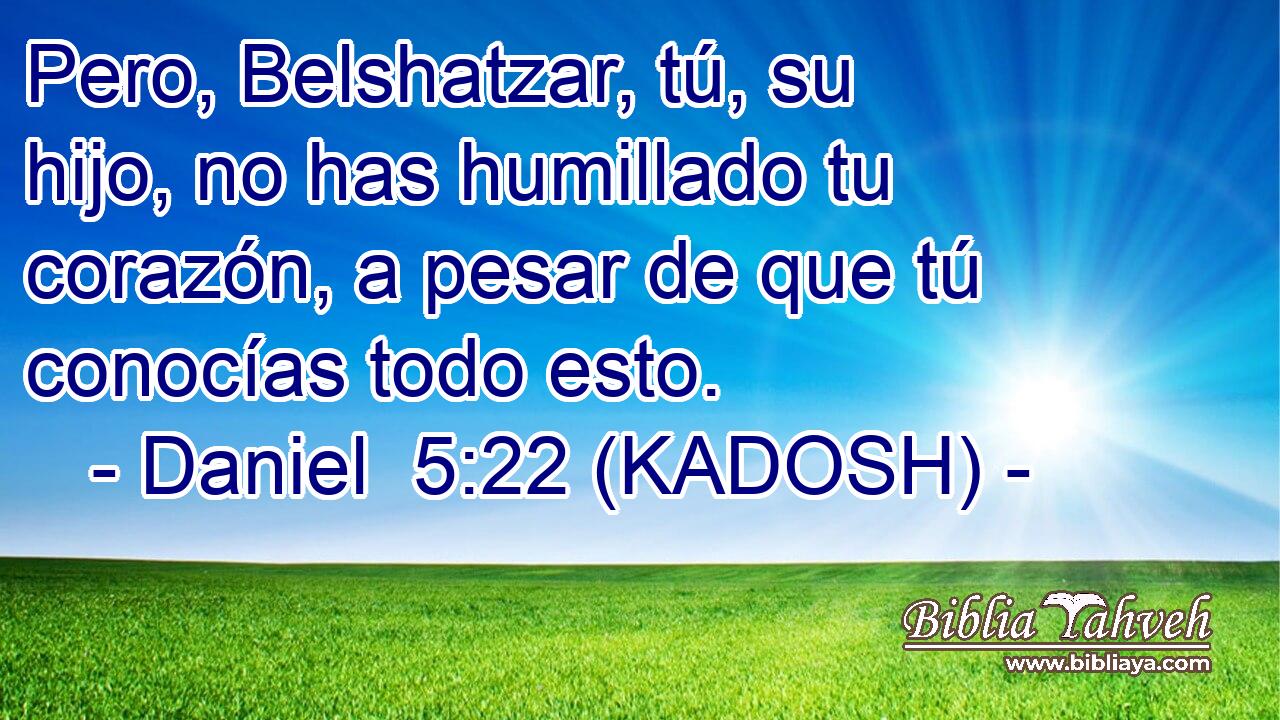  Pero, Belshatzar, tú, su hijo, no has humillado tu corazón, a pesar de que tú conocías todo esto. 