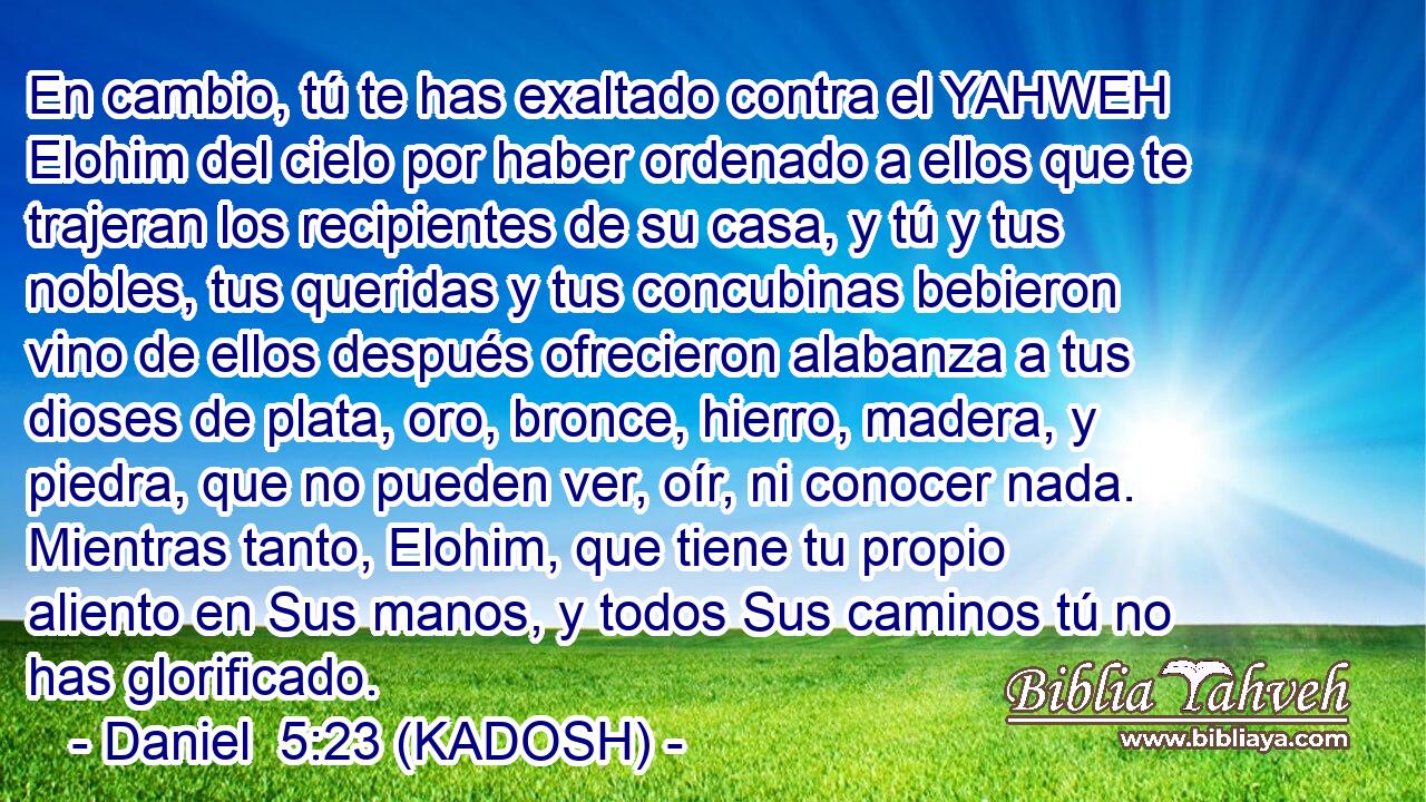  En cambio, tú te has exaltado contra el YAHWEH Elohim del cielo por haber ordenado a ellos que te trajeran los recipientes de su casa, y tú y tus nobles, tus queridas y tus concubinas bebieron vino de ellos después ofrecieron alabanza a tus dioses de plata, oro, bronce, hierro, madera, y piedra, que no pueden ver, oír, ni conocer nada. Mientras tanto, Elohim, que tiene tu propio aliento en Sus manos, y todos Sus caminos tú no has glorificado. 