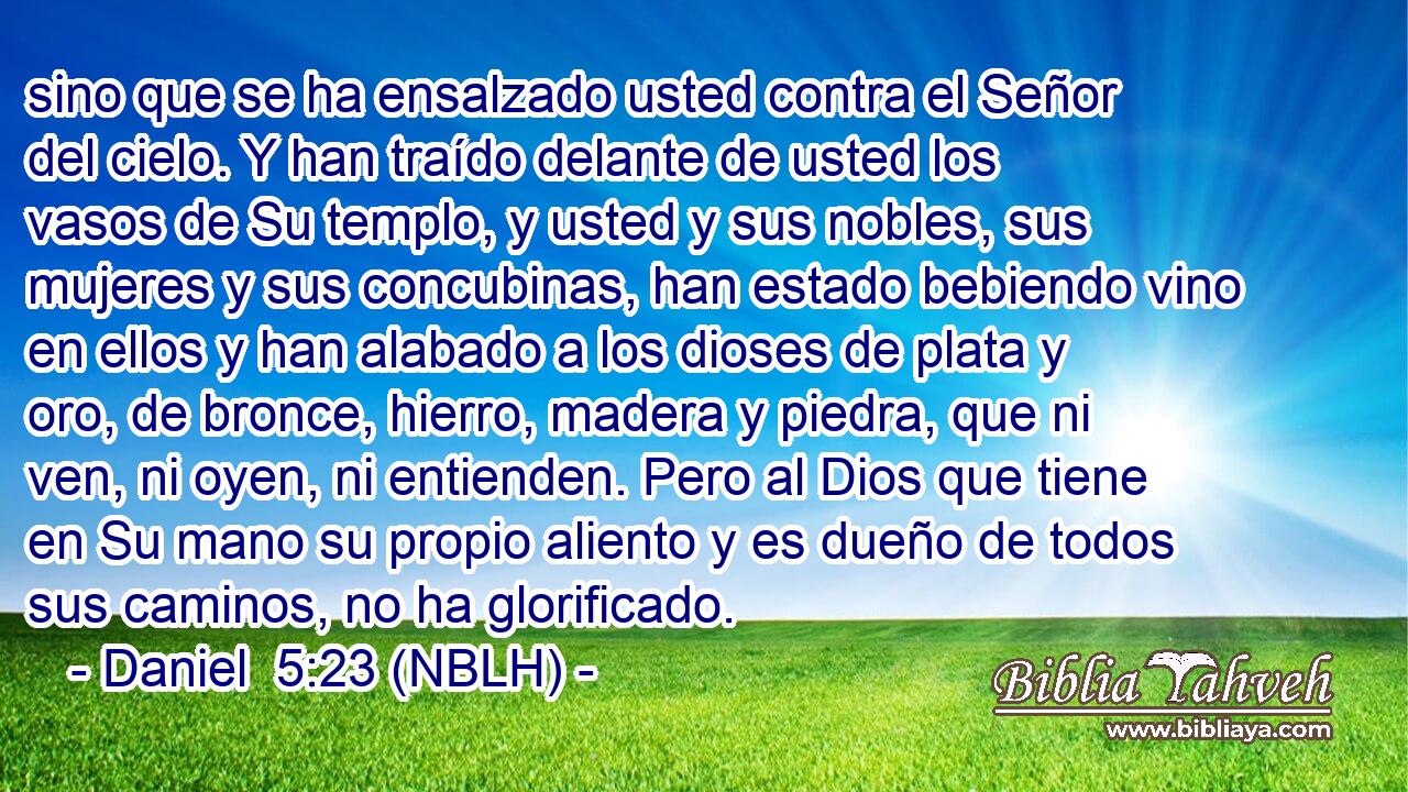  sino que se ha ensalzado usted contra el Señor del cielo. Y han traído delante de usted los vasos de Su templo, y usted y sus nobles, sus mujeres y sus concubinas, han estado bebiendo vino en ellos y han alabado a los dioses de plata y oro, de bronce, hierro, madera y piedra, que ni ven, ni oyen, ni entienden. Pero al Dios que tiene en Su mano su propio aliento y es dueño de todos sus caminos, no ha glorificado. 