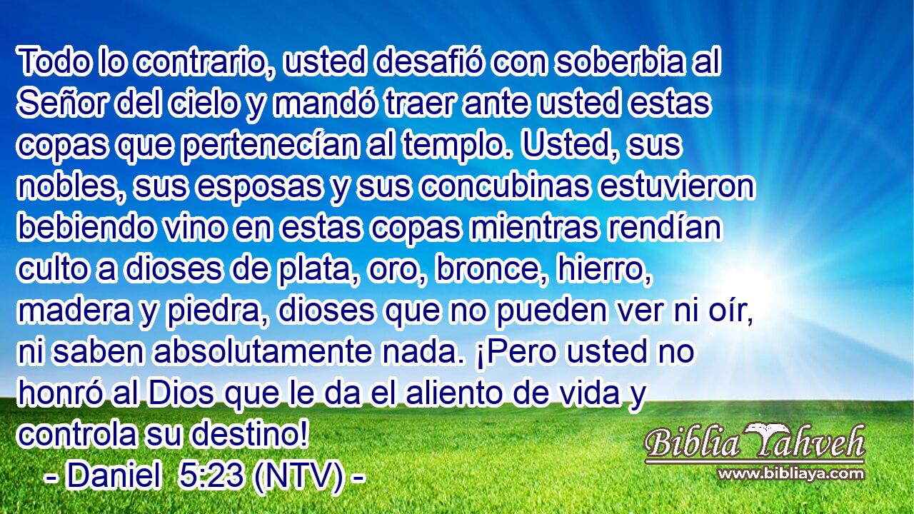 Todo lo contrario, usted desafió con soberbia al Señor del cielo y mandó traer ante usted estas copas que pertenecían al templo. Usted, sus nobles, sus esposas y sus concubinas estuvieron bebiendo vino en estas copas mientras rendían culto a dioses de plata, oro, bronce, hierro, madera y piedra, dioses que no pueden ver ni oír, ni saben absolutamente nada. ¡Pero usted no honró al Dios que le da el aliento de vida y controla su destino!