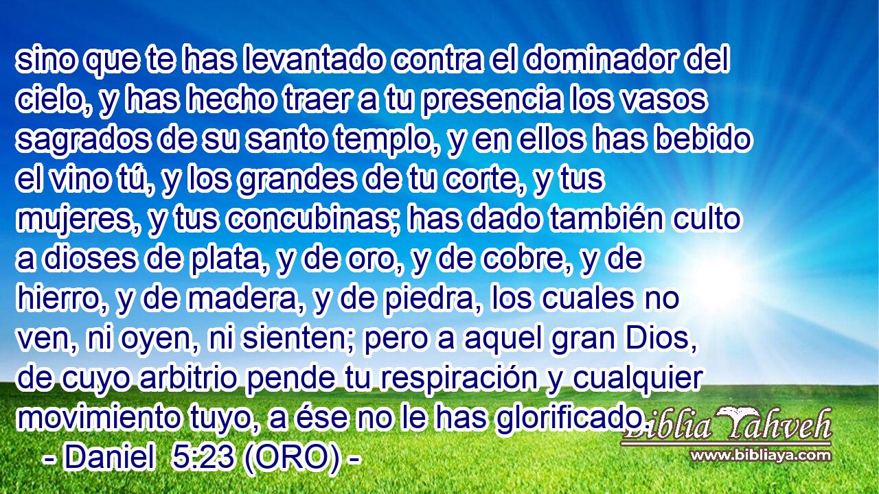 sino que te has levantado contra el dominador del cielo, y has hecho traer a tu presencia los vasos sagrados de su santo templo, y en ellos has bebido el vino tú, y los grandes de tu corte, y tus mujeres, y tus concubinas; has dado también culto a dioses de plata, y de oro, y de cobre, y de hierro, y de madera, y de piedra, los cuales no ven, ni oyen, ni sienten; pero a aquel gran Dios, de cuyo arbitrio pende tu respiración y cualquier movimiento tuyo, a ése no le has glorificado. 