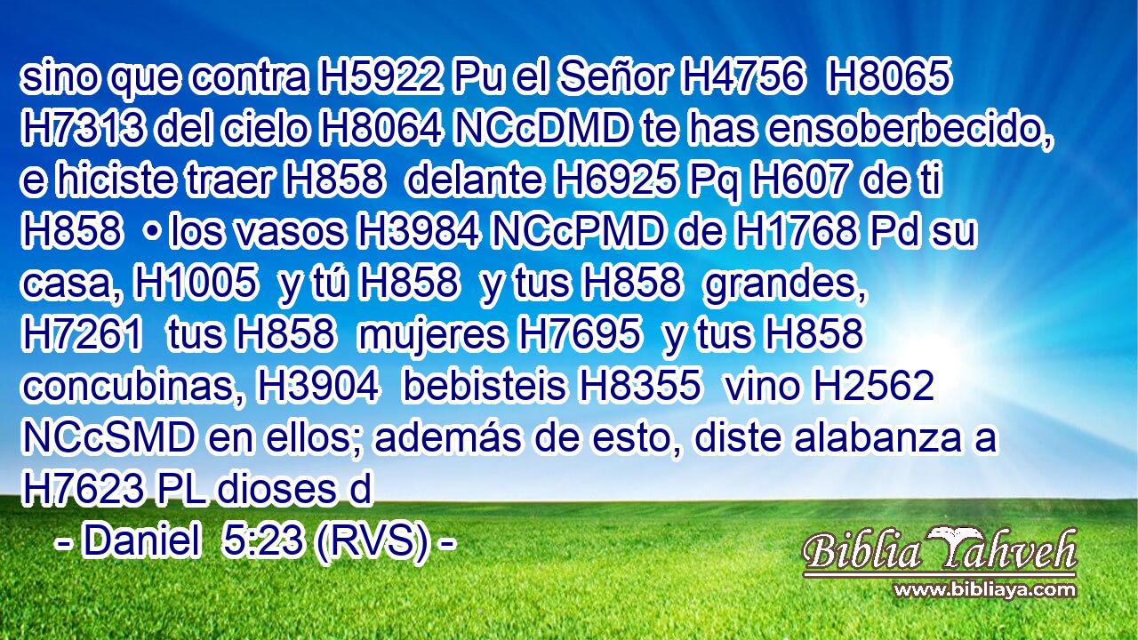 sino que contra H5922 Pu el Señor H4756  H8065 H7313 del cielo H8064 NCcDMD te has ensoberbecido, e hiciste traer H858  delante H6925 Pq H607 de ti H858  • los vasos H3984 NCcPMD de H1768 Pd su casa, H1005  y tú H858  y tus H858  grandes, H7261  tus H858  mujeres H7695  y tus H858  concubinas, H3904  bebisteis H8355  vino H2562 NCcSMD en ellos; además de esto, diste alabanza a H7623 PL dioses d