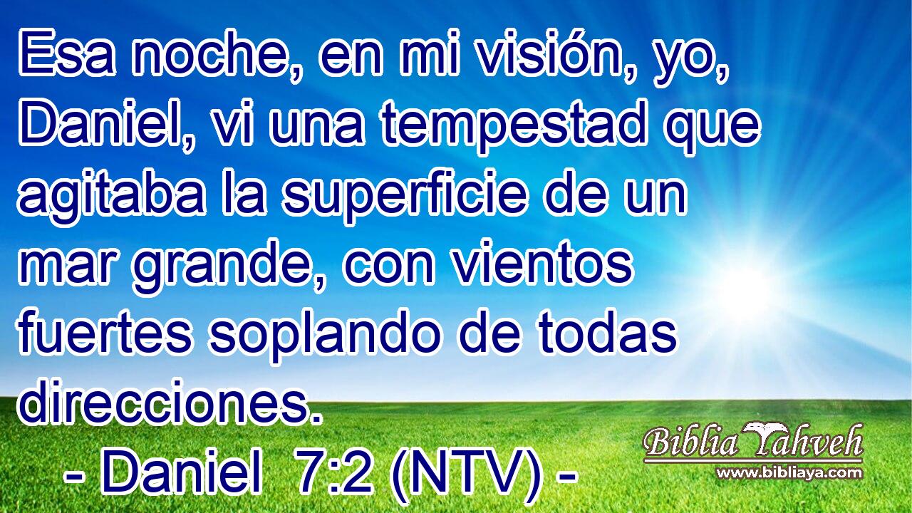 Esa noche, en mi visión, yo, Daniel, vi una tempestad que agitaba la superficie de un mar grande, con vientos fuertes soplando de todas direcciones.