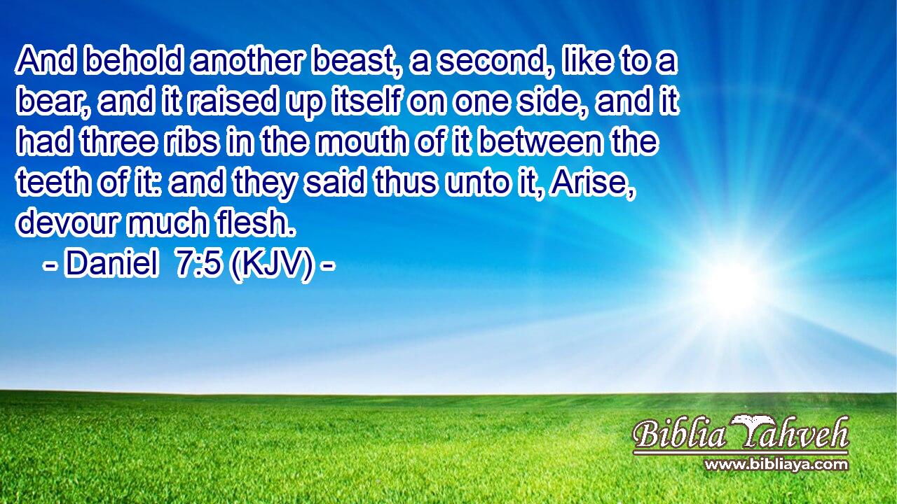 And behold another beast, a second, like to a bear, and it raised up itself on one side, and it had three ribs in the mouth of it between the teeth of it: and they said thus unto it, Arise, devour much flesh.