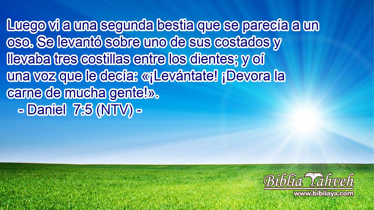 Luego vi a una segunda bestia que se parecía a un oso. Se levantó sobre uno de sus costados y llevaba tres costillas entre los dientes; y oí una voz que le decía: «¡Levántate! ¡Devora la carne de mucha gente!».