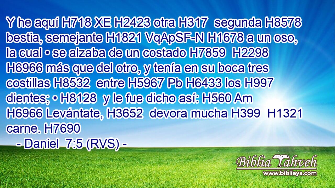 Y he aquí H718 XE H2423 otra H317  segunda H8578  bestia, semejante H1821 VqApSF-N H1678 a un oso, la cual • se alzaba de un costado H7859  H2298 H6966 más que del otro, y tenía en su boca tres costillas H8532  entre H5967 Pb H6433 los H997 dientes; • H8128  y le fue dicho así: H560 Am H6966 Levántate, H3652  devora mucha H399  H1321 carne. H7690  