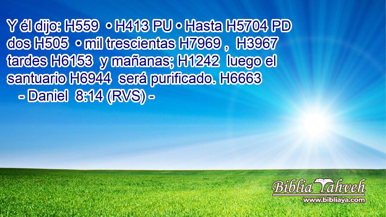 Y él dijo: H559  • H413 PU • Hasta H5704 PD dos H505  • mil trescientas H7969 ,  H3967 tardes H6153  y mañanas; H1242  luego el santuario H6944  será purificado. H6663  
