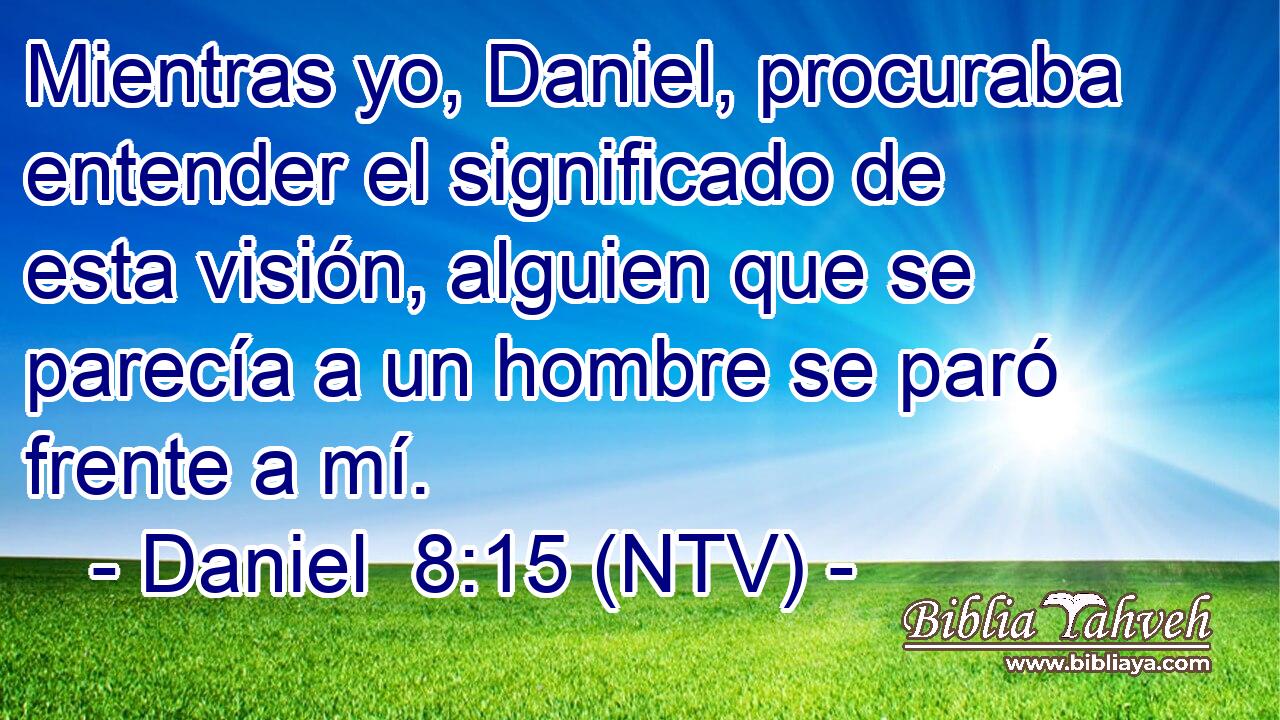 Mientras yo, Daniel, procuraba entender el significado de esta visión, alguien que se parecía a un hombre se paró frente a mí.