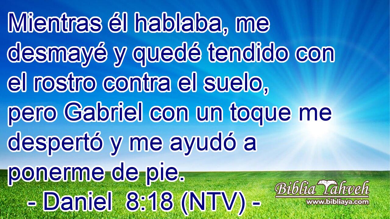Mientras él hablaba, me desmayé y quedé tendido con el rostro contra el suelo, pero Gabriel con un toque me despertó y me ayudó a ponerme de pie.