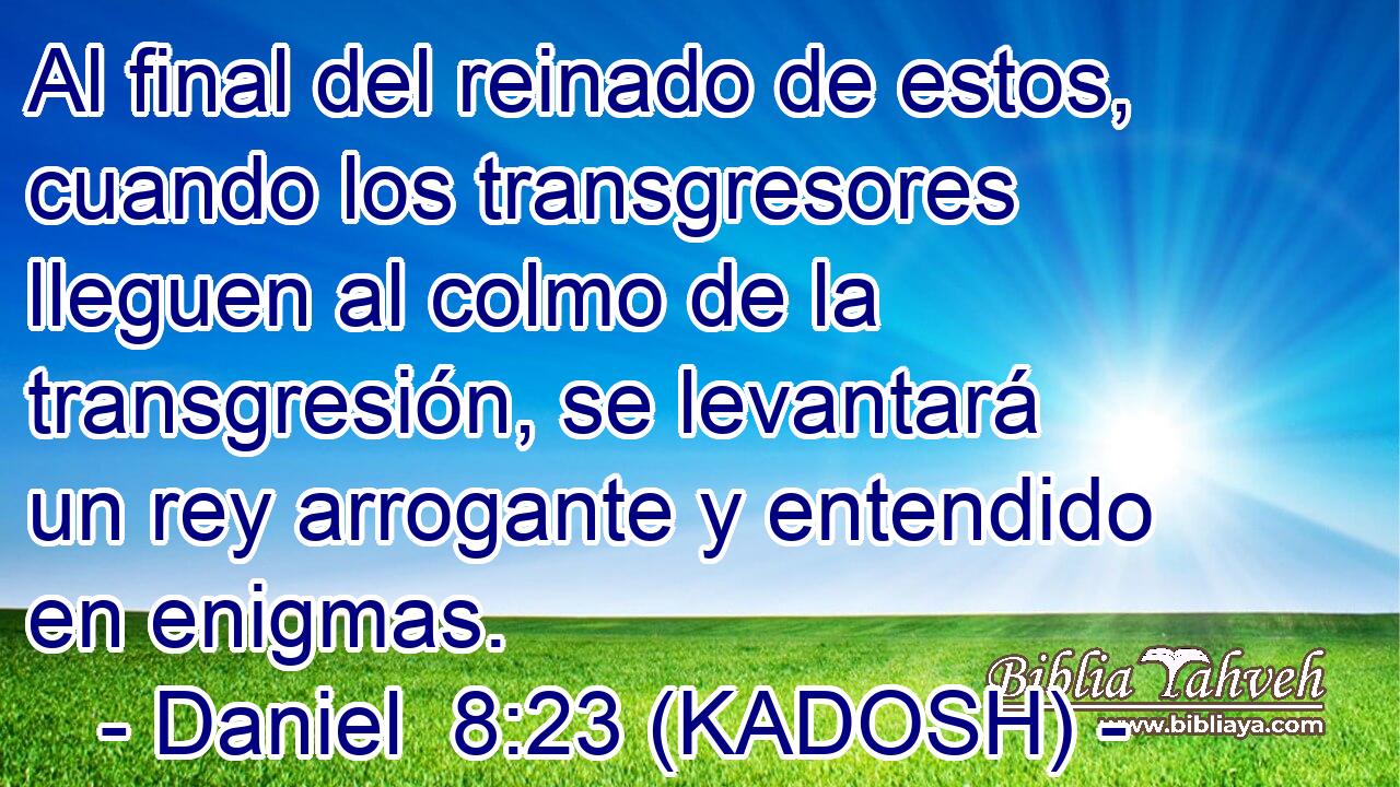  Al final del reinado de estos, cuando los transgresores lleguen al colmo de la transgresión, se levantará un rey arrogante y entendido en enigmas. 