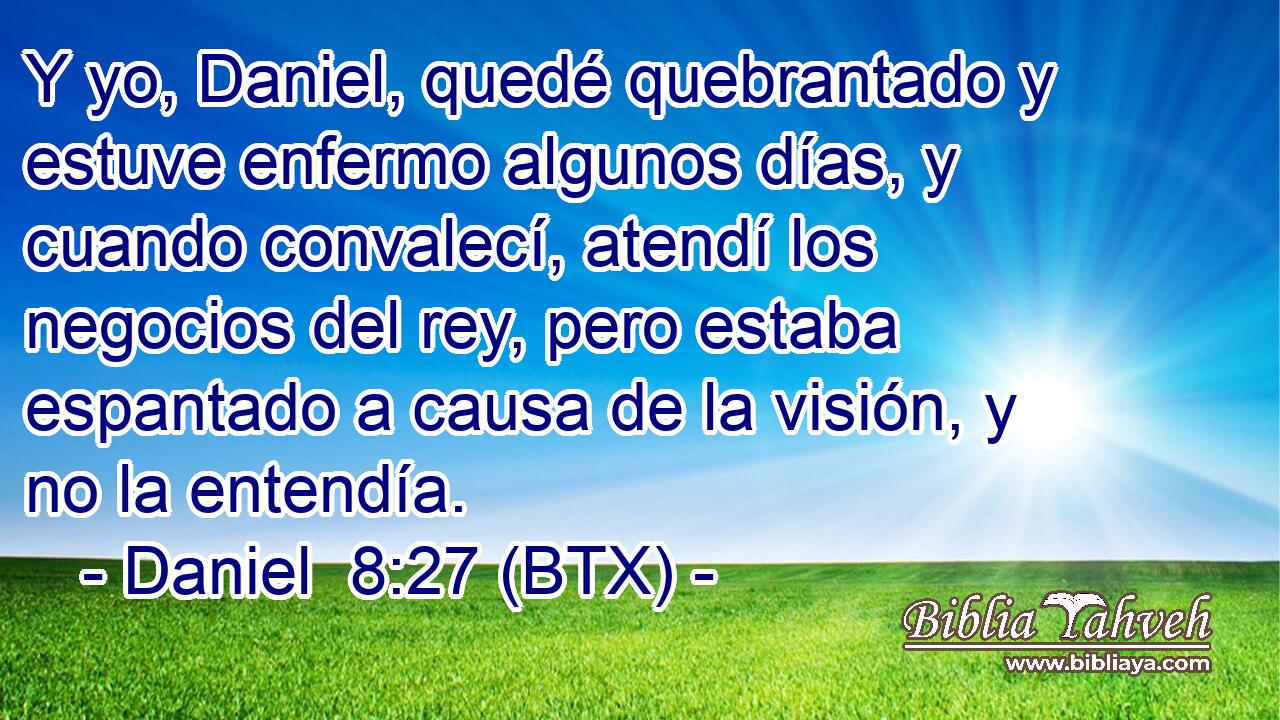 Y yo, Daniel, quedé quebrantado y estuve enfermo algunos días, y cuando convalecí, atendí los negocios del rey, pero estaba espantado a causa de la visión, y no la entendía.