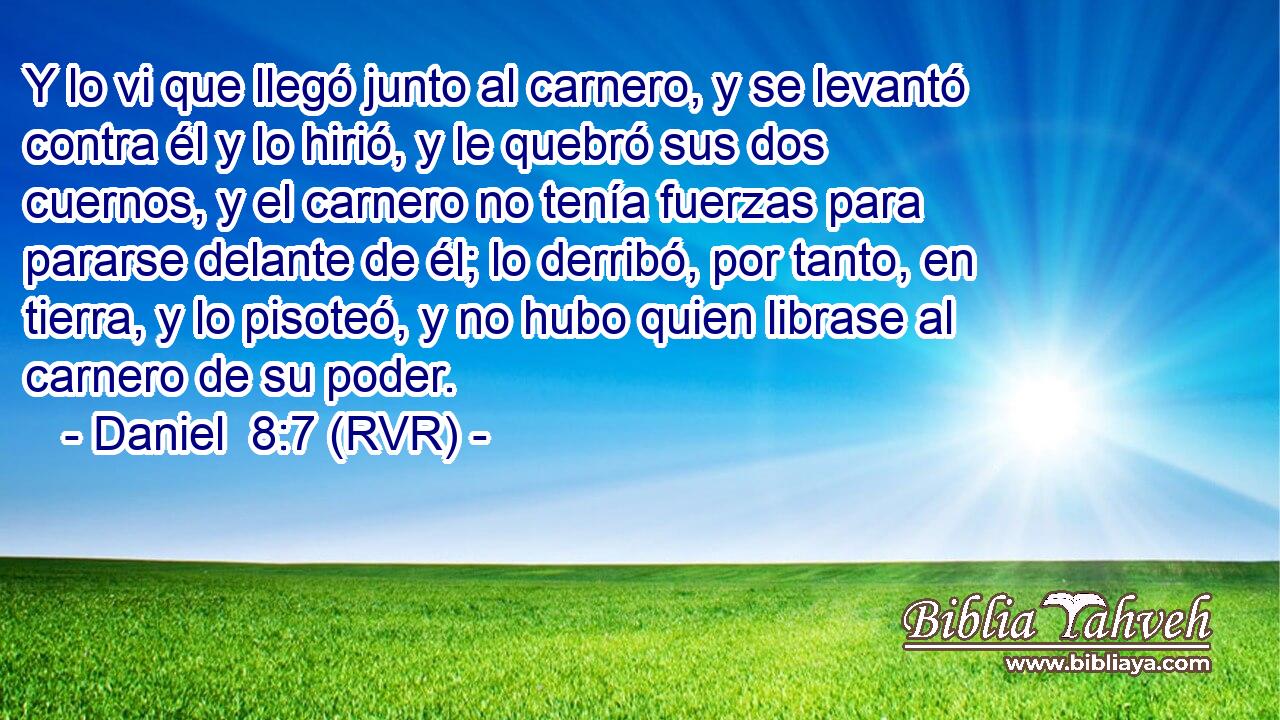 Y lo vi que llegó junto al carnero, y se levantó contra él y lo hirió, y le quebró sus dos cuernos, y el carnero no tenía fuerzas para pararse delante de él; lo derribó, por tanto, en tierra, y lo pisoteó, y no hubo quien librase al carnero de su poder.