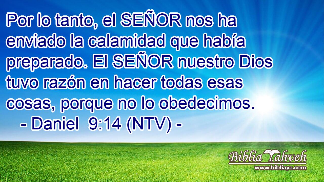 Por lo tanto, el SEÑOR nos ha enviado la calamidad que había preparado. El SEÑOR nuestro Dios tuvo razón en hacer todas esas cosas, porque no lo obedecimos.