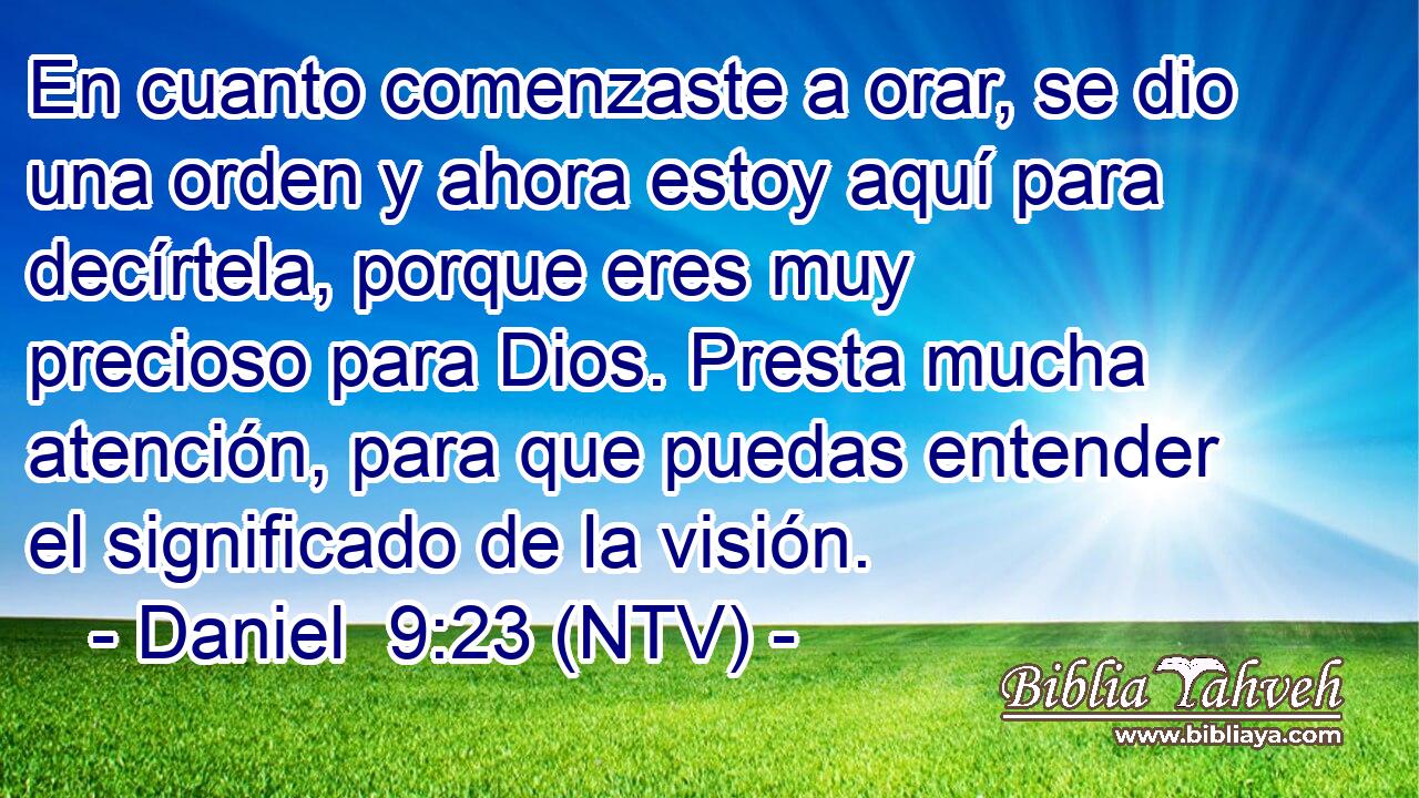 En cuanto comenzaste a orar, se dio una orden y ahora estoy aquí para decírtela, porque eres muy precioso para Dios. Presta mucha atención, para que puedas entender el significado de la visión.