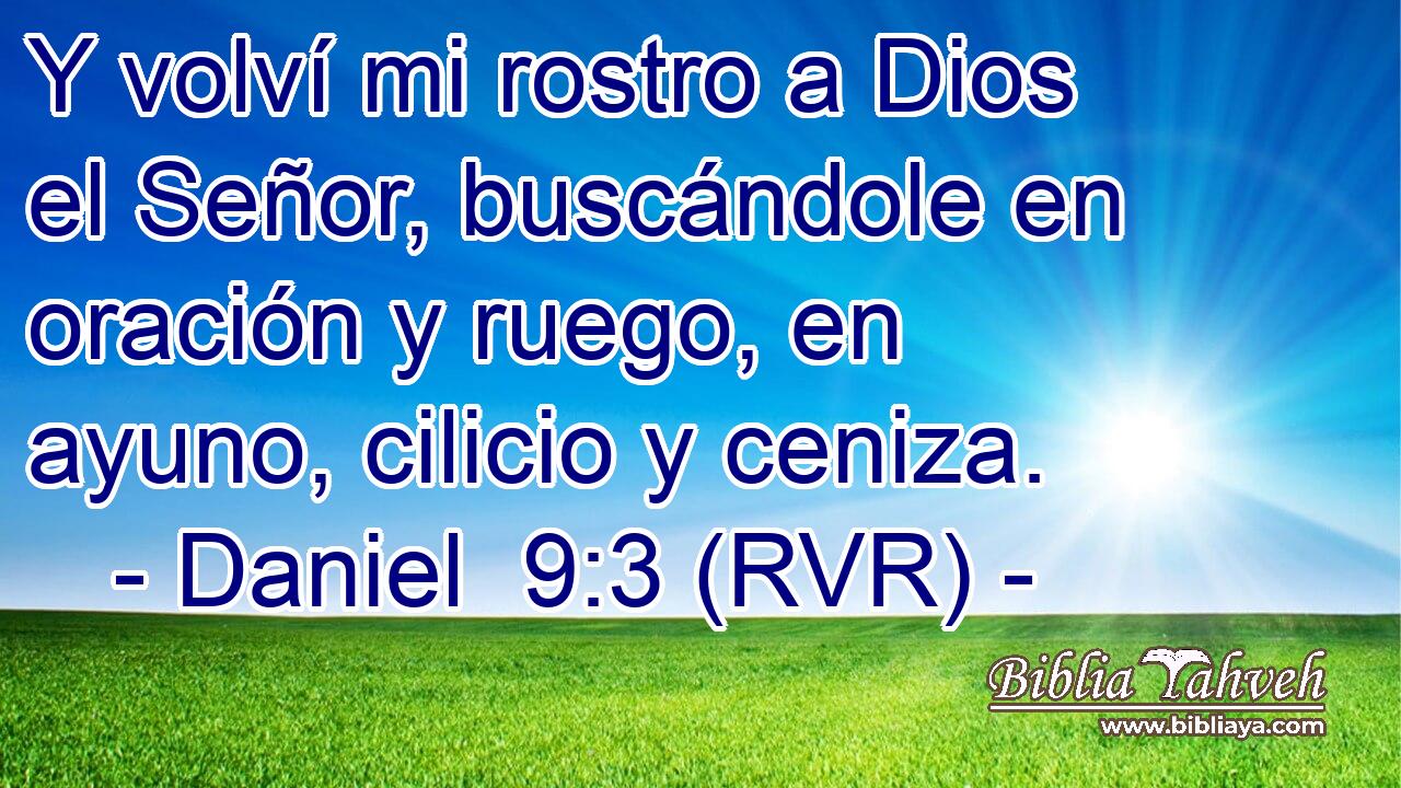 Y volví mi rostro a Dios el Señor, buscándole en oración y ruego, en ayuno, cilicio y ceniza.