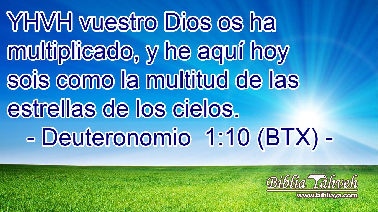 YHVH vuestro Dios os ha multiplicado, y he aquí hoy sois como la multitud de las estrellas de los cielos.