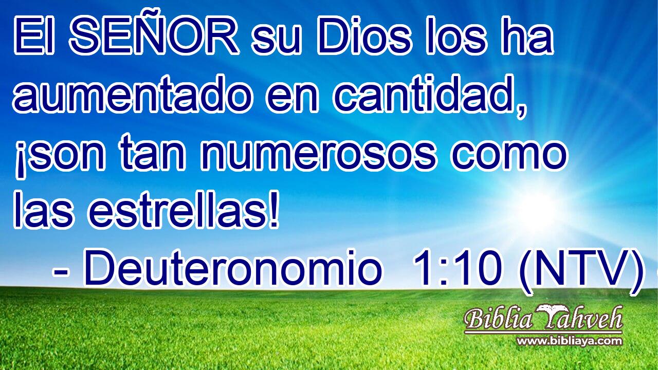 El SEÑOR su Dios los ha aumentado en cantidad, ¡son tan numerosos como las estrellas!