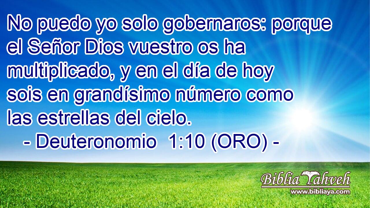 No puedo yo solo gobernaros: porque el Señor Dios vuestro os ha multiplicado, y en el día de hoy sois en grandísimo número como las estrellas del cielo. 