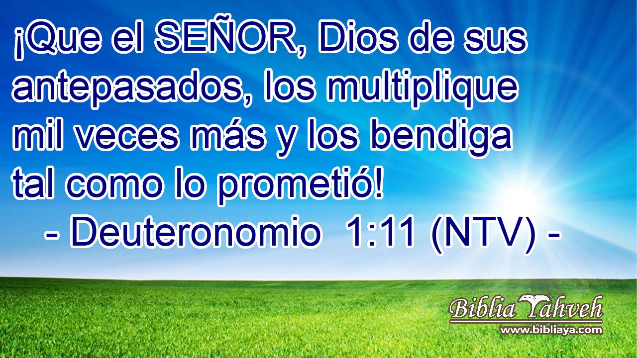 ¡Que el SEÑOR, Dios de sus antepasados, los multiplique mil veces más y los bendiga tal como lo prometió!