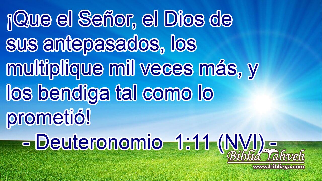  ¡Que el Señor, el Dios de sus antepasados, los multiplique mil veces más, y los bendiga tal como lo prometió! 