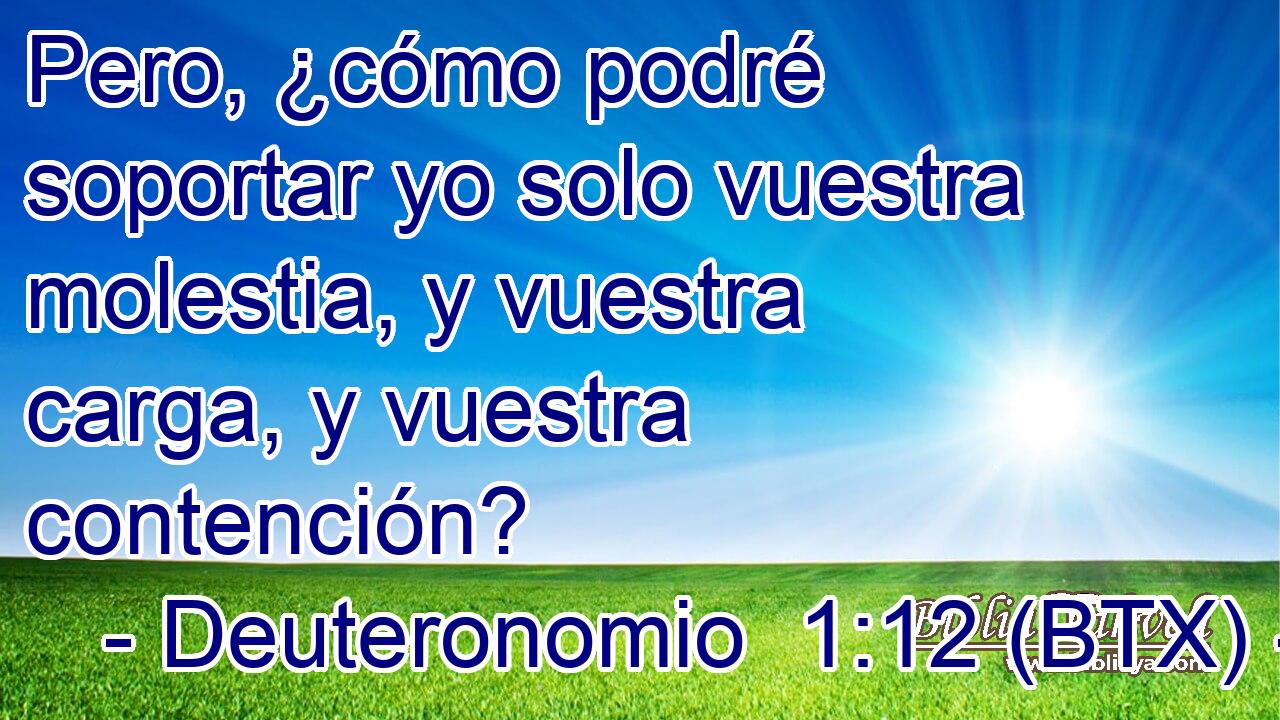 Pero, ¿cómo podré soportar yo solo vuestra molestia, y vuestra carga, y vuestra contención?