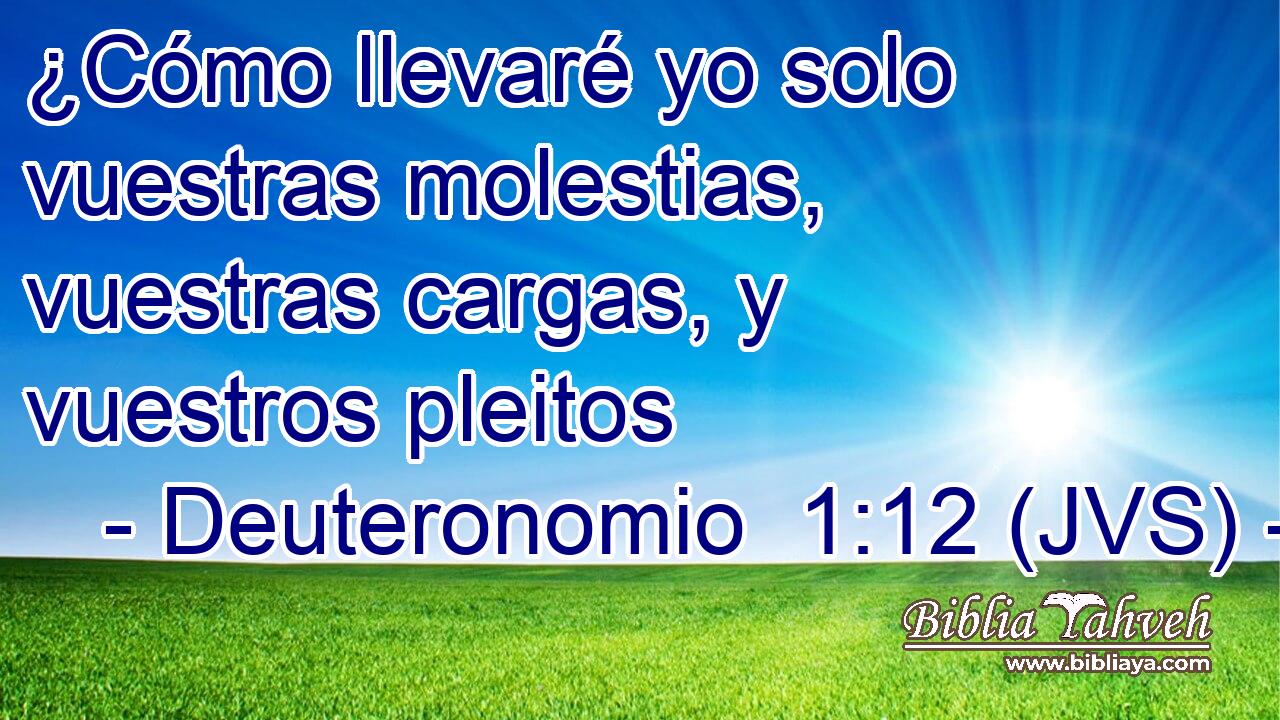 ¿Cómo llevaré yo solo vuestras molestias, vuestras cargas, y vuestros pleitos