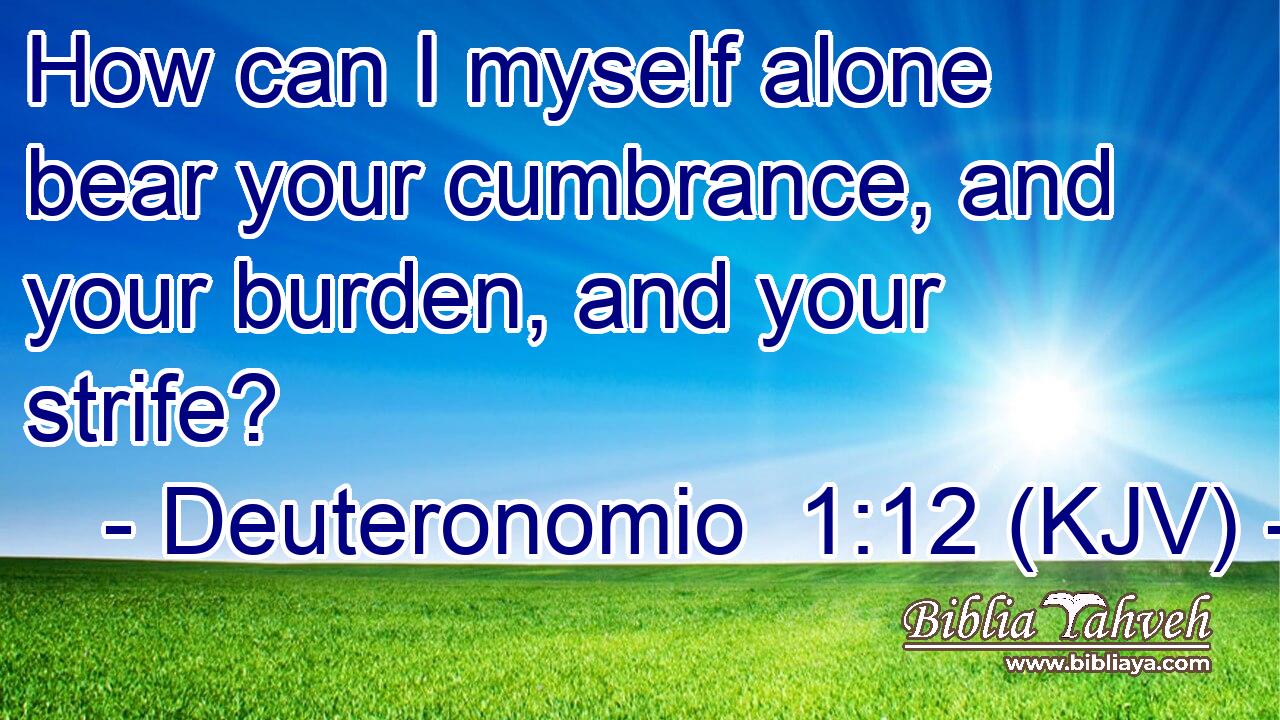 How can I myself alone bear your cumbrance, and your burden, and your strife?