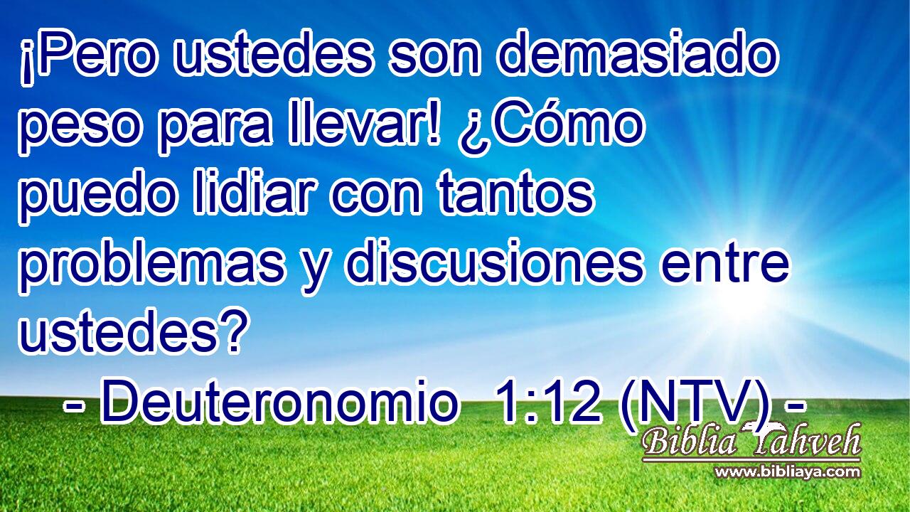 ¡Pero ustedes son demasiado peso para llevar! ¿Cómo puedo lidiar con tantos problemas y discusiones entre ustedes?