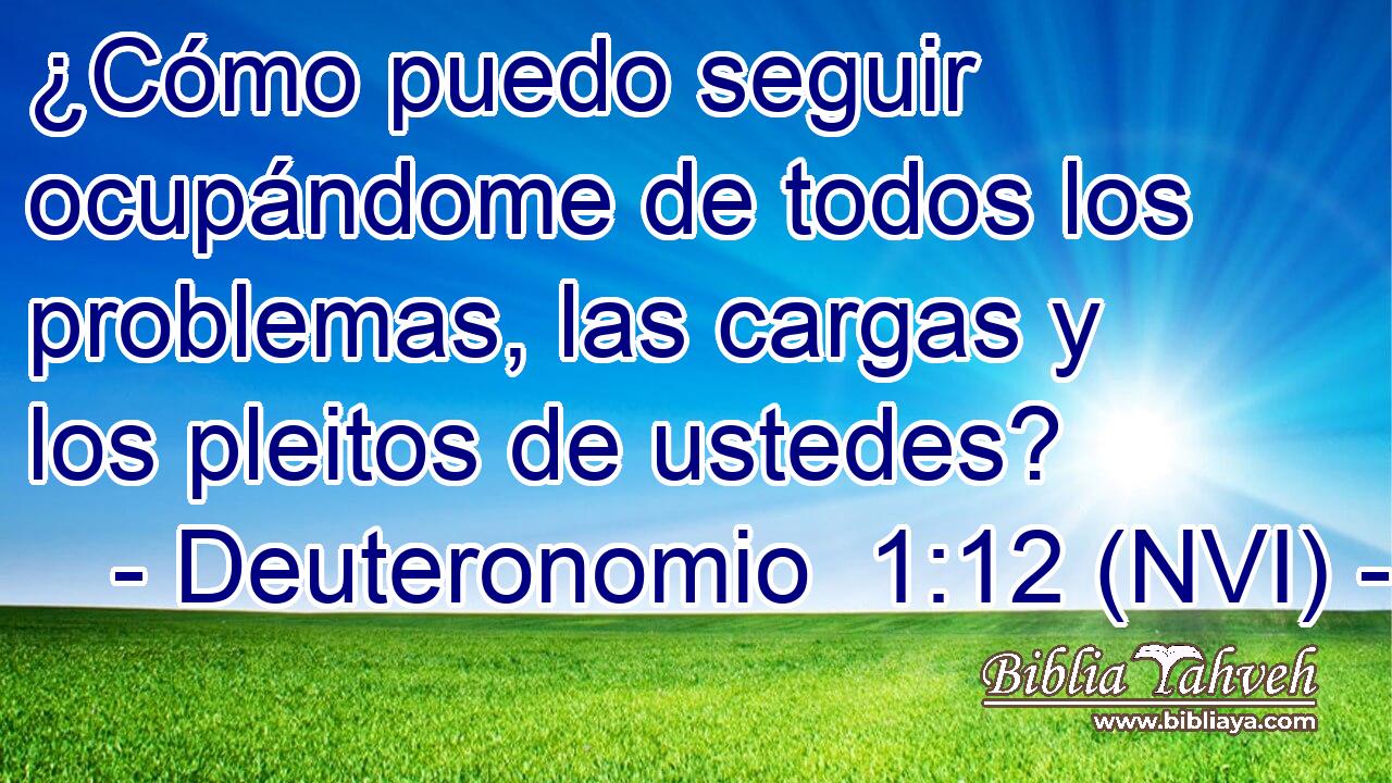  ¿Cómo puedo seguir ocupándome de todos los problemas, las cargas y los pleitos de ustedes? 