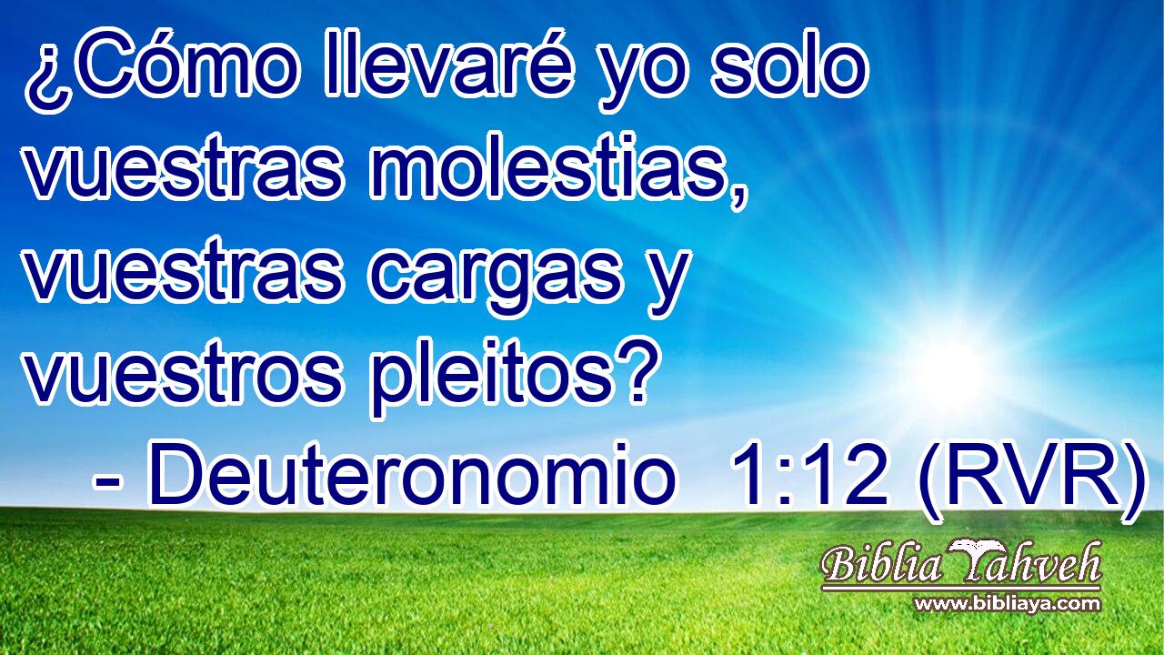 ¿Cómo llevaré yo solo vuestras molestias, vuestras cargas y vuestros pleitos?