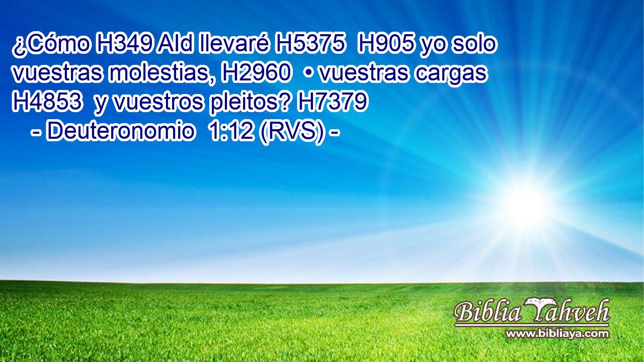 ¿Cómo H349 AId llevaré H5375  H905 yo solo vuestras molestias, H2960  • vuestras cargas H4853  y vuestros pleitos? H7379  