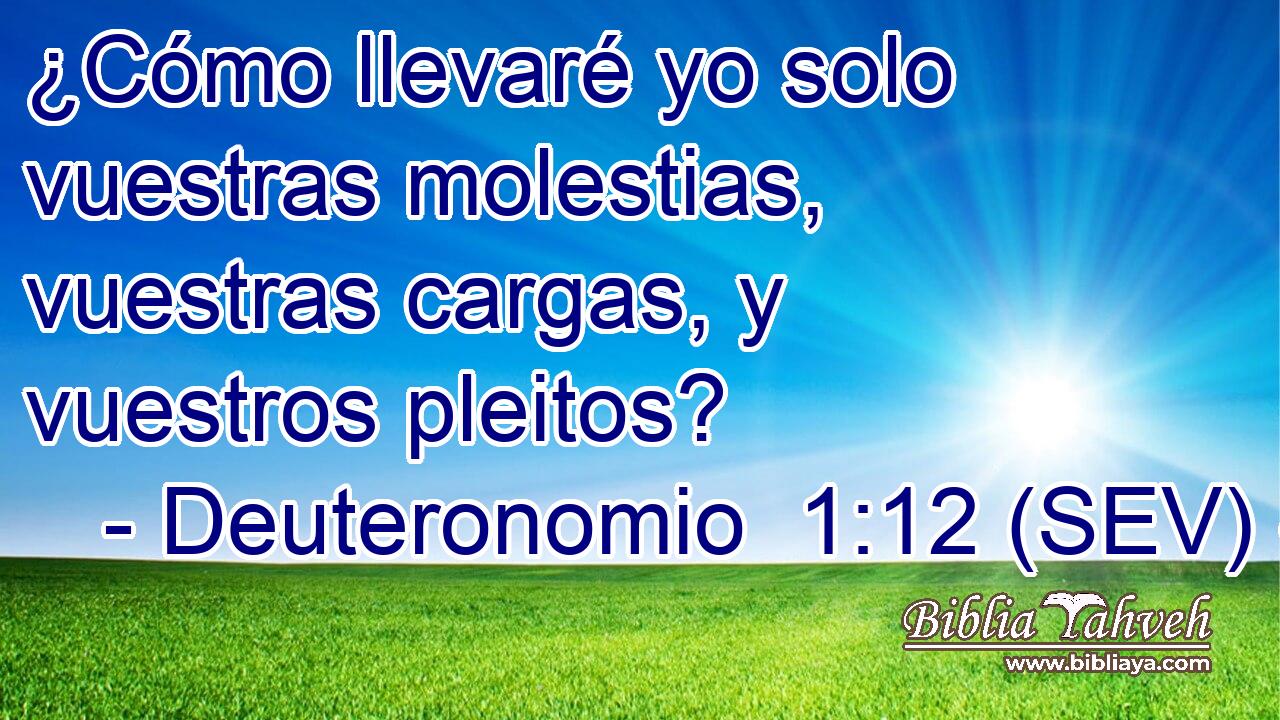 ¿Cómo llevaré yo solo vuestras molestias, vuestras cargas, y vuestros pleitos?
