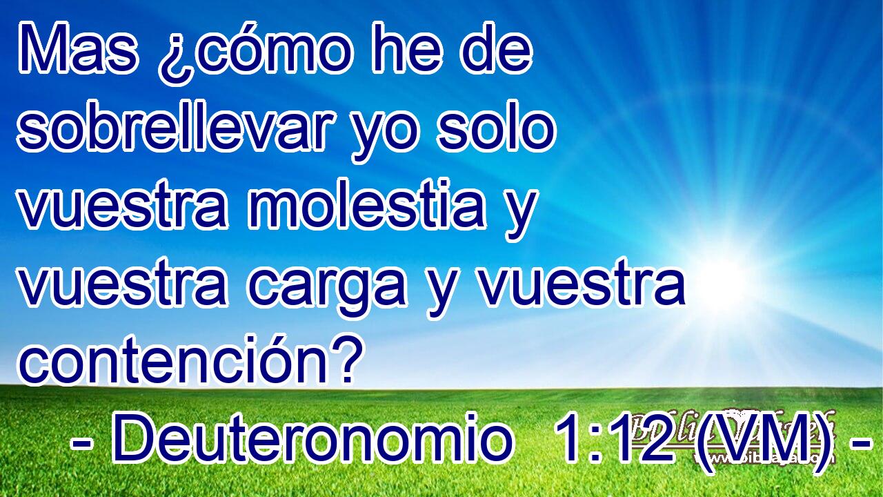  Mas ¿cómo he de sobrellevar yo solo vuestra molestia y vuestra carga y vuestra contención? 