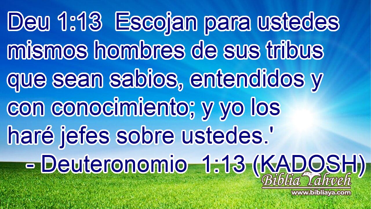  Escojan para ustedes mismos hombres de sus tribus que sean sabios, entendidos y con conocimiento; y yo los haré jefes sobre ustedes.' 