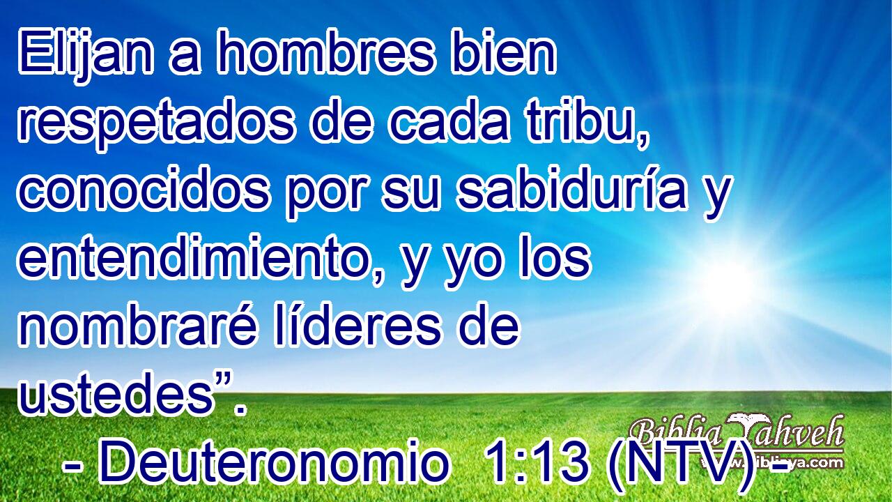 Elijan a hombres bien respetados de cada tribu, conocidos por su sabiduría y entendimiento, y yo los nombraré líderes de ustedes”.