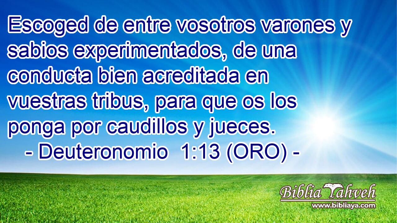  Escoged de entre vosotros varones y sabios experimentados, de una conducta bien acreditada en vuestras tribus, para que os los ponga por caudillos y jueces. 
