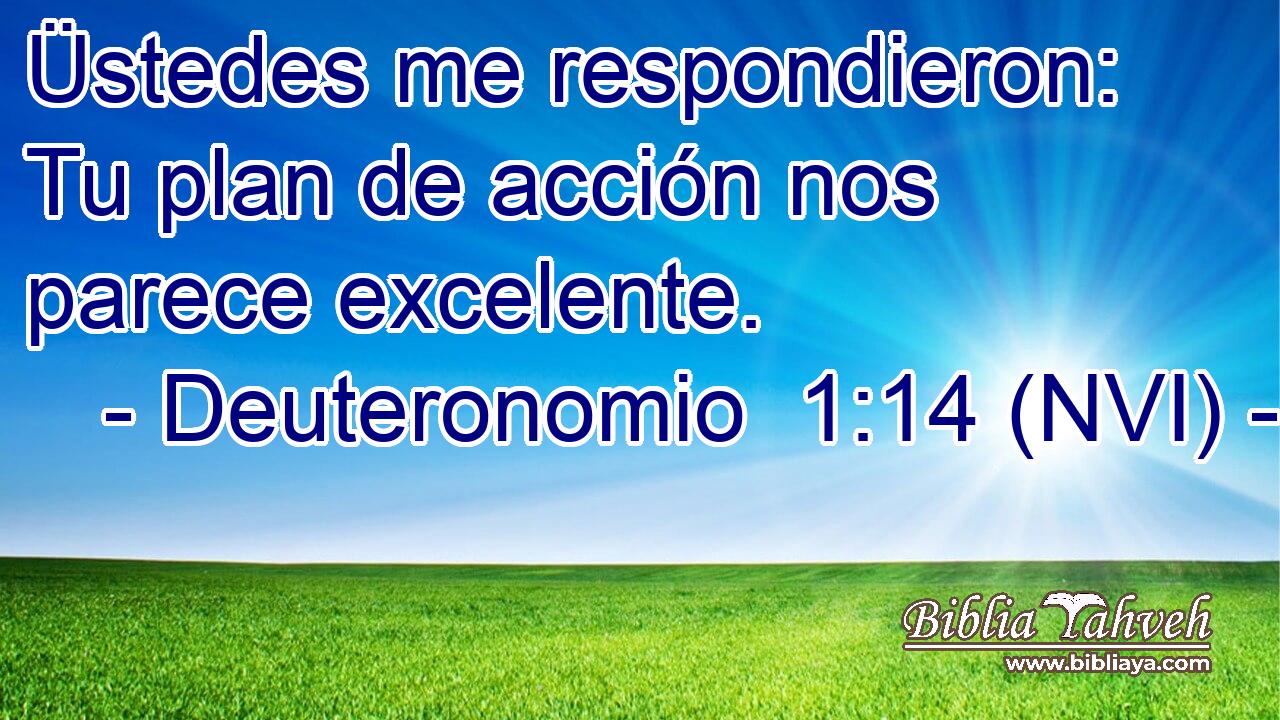  Üstedes me respondieron: Tu plan de acción nos parece excelente. 