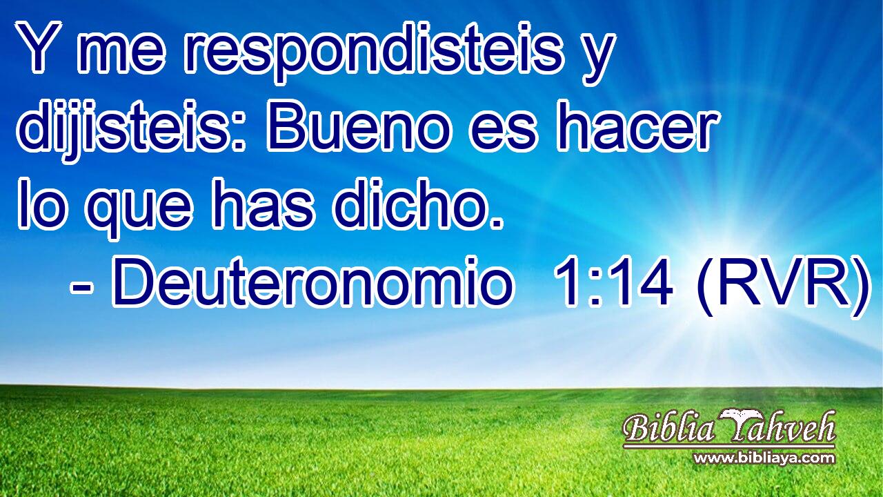 Y me respondisteis y dijisteis: Bueno es hacer lo que has dicho.
