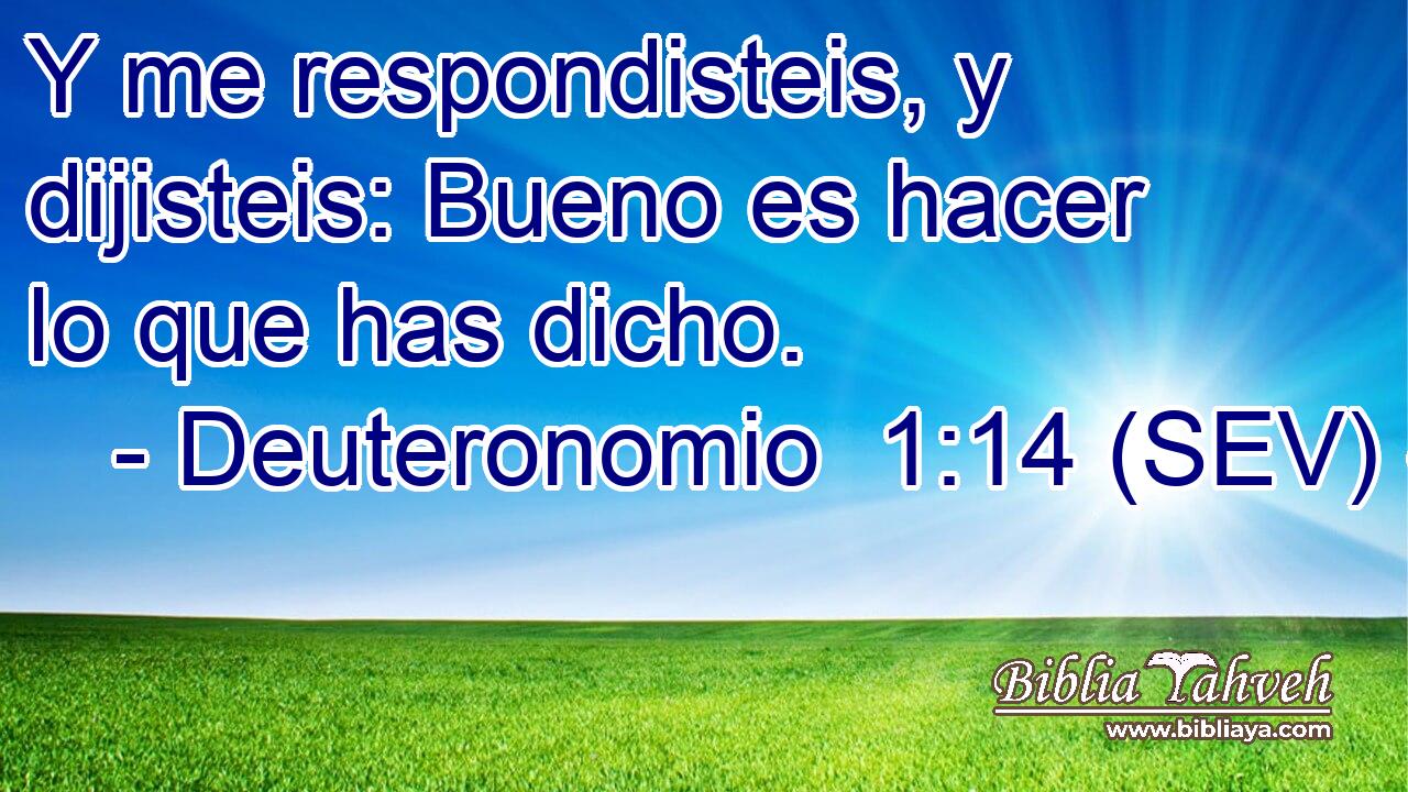 Y me respondisteis, y dijisteis: Bueno es hacer lo que has dicho.