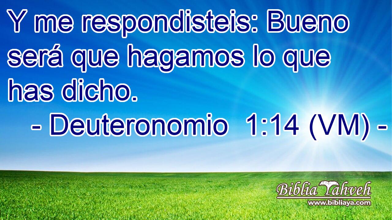  Y me respondisteis: Bueno será que hagamos lo que has dicho. 