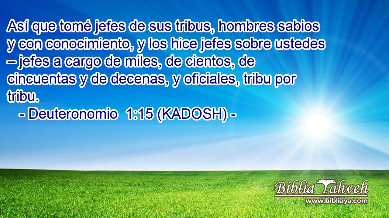  Así que tomé jefes de sus tribus, hombres sabios y con conocimiento, y los hice jefes sobre ustedes – jefes a cargo de miles, de cientos, de cincuentas y de decenas, y oficiales, tribu por tribu. 