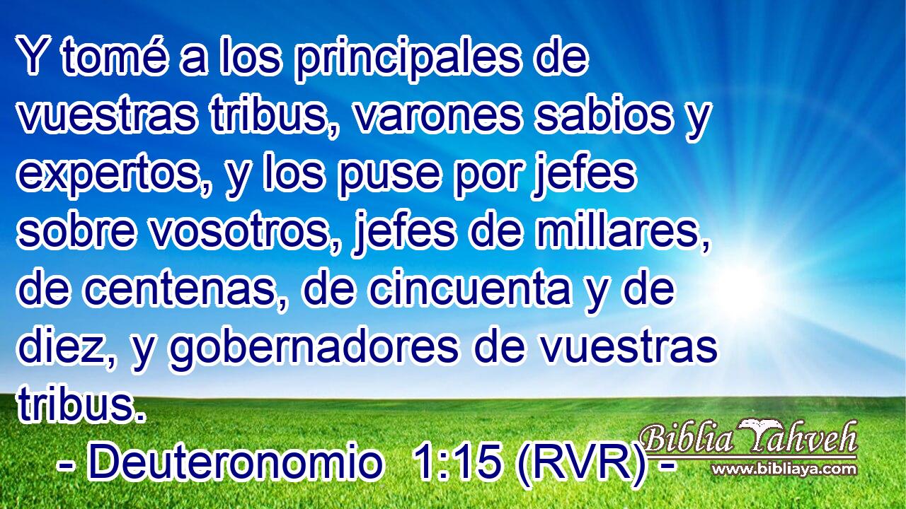 Y tomé a los principales de vuestras tribus, varones sabios y expertos, y los puse por jefes sobre vosotros, jefes de millares, de centenas, de cincuenta y de diez, y gobernadores de vuestras tribus.