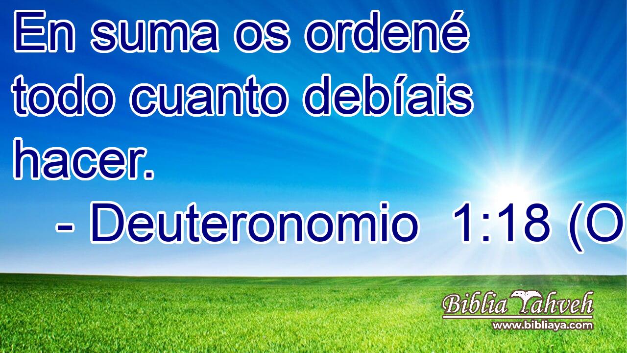  En suma os ordené todo cuanto debíais hacer. 