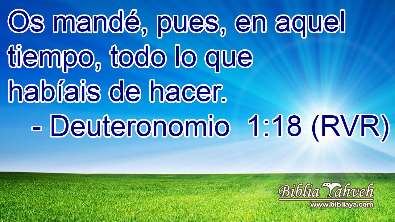 Os mandé, pues, en aquel tiempo, todo lo que habíais de hacer.