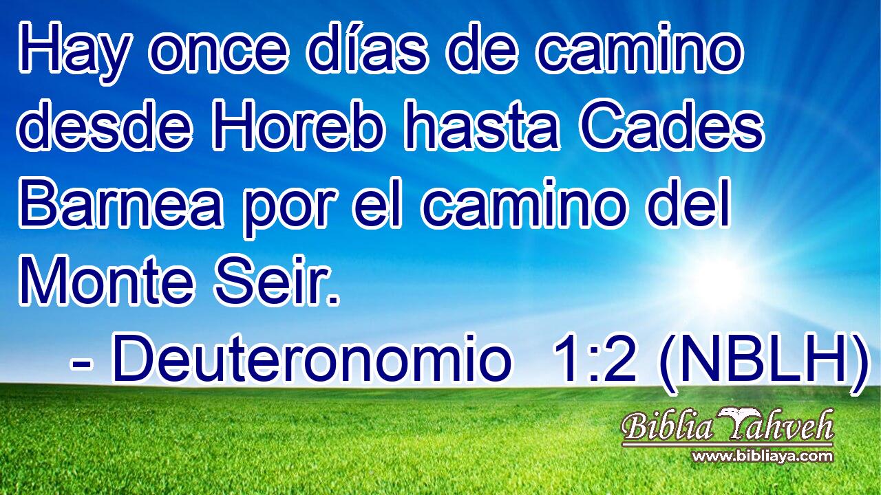  Hay once días de camino desde Horeb hasta Cades Barnea por el camino del Monte Seir. 