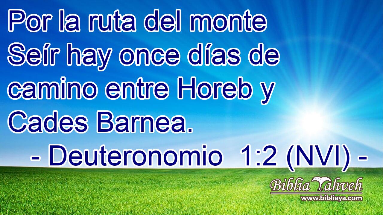  Por la ruta del monte Seír hay once días de camino entre Horeb y Cades Barnea. 